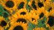 gerome bruneau rpmwetzlh7u unsplash min