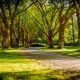mike benna sbivq9ewetq unsplash min