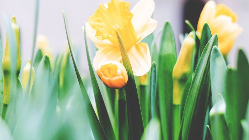 tim gouw 4l9qmfimnni unsplash min